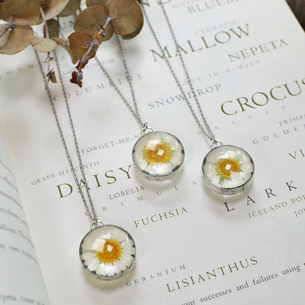 Real Daisy Flower Glass Necklace - La De Da