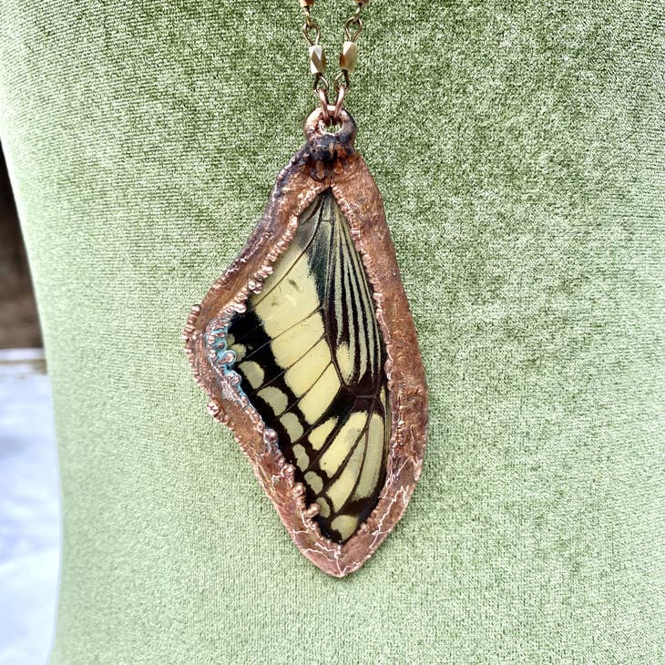 Real King Swallowtail Butterfly Necklace - La De Da
