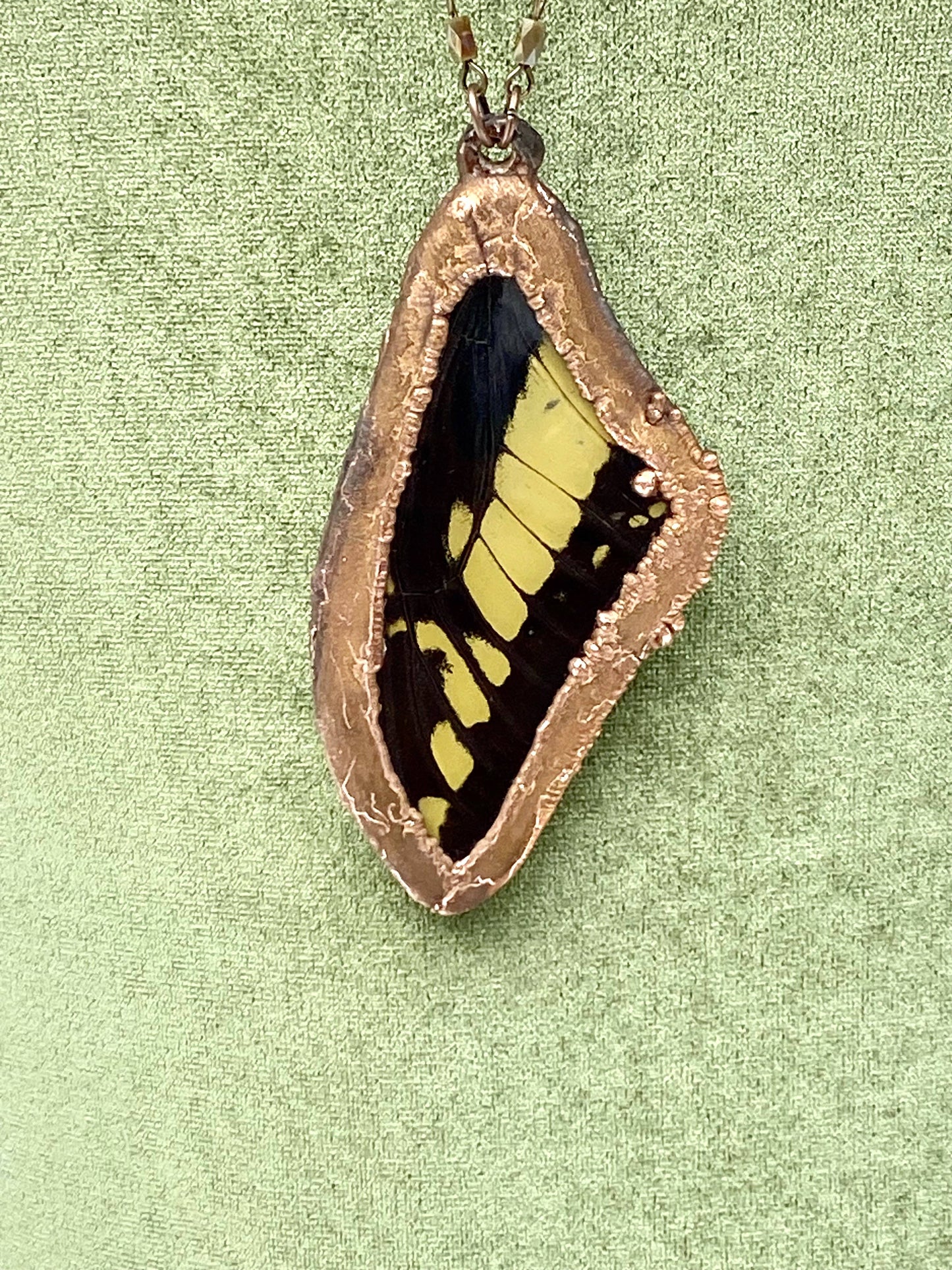 Real King Swallowtail Butterfly Necklace - La De Da